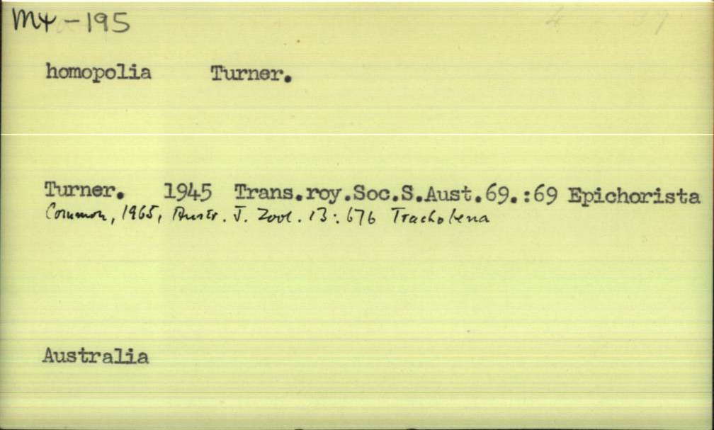 front of card